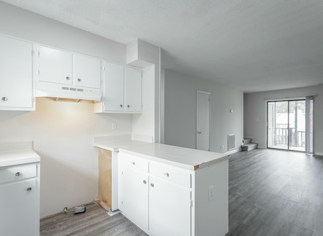 kitchen featuring under cabinet range hood, visible vents, light wood-style floors, a peninsula, and a textured ceiling