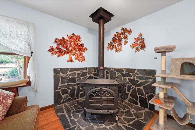 798 Deerfield Ln, Sugar Valley, GA 30746 - room details with baseboards, wood finished floors, and a wood stove