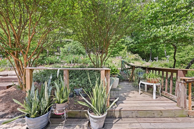 798 Deerfield Ln, Sugar Valley, GA 30746 - view of deck