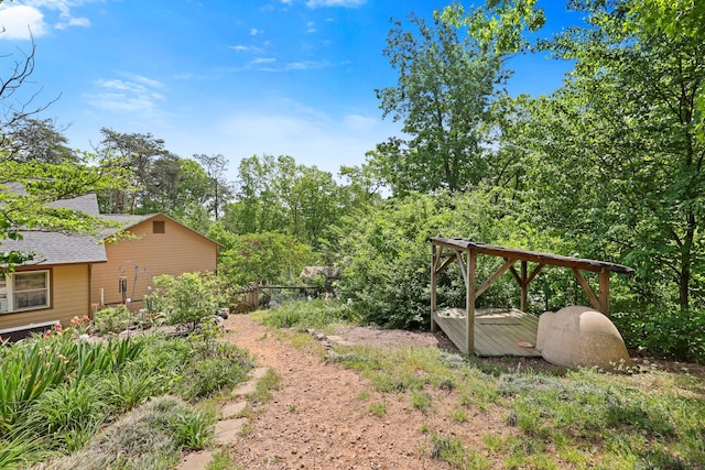 798 Deerfield Ln, Sugar Valley, GA 30746 - view of yard