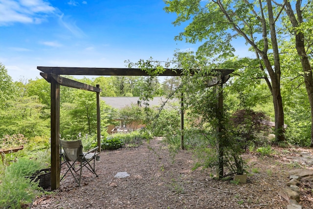 798 Deerfield Ln, Sugar Valley, GA 30746 - view of yard