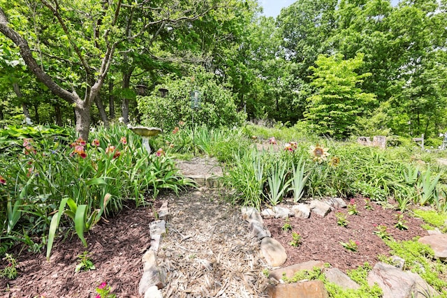 798 Deerfield Ln, Sugar Valley, GA 30746 - view of yard