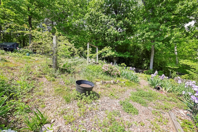 798 Deerfield Ln, Sugar Valley, GA 30746 - view of yard