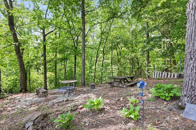 798 Deerfield Ln, Sugar Valley, GA 30746 - view of nature with a forest view