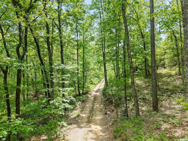 798 Deerfield Ln, Sugar Valley, GA 30746 - view of local wilderness featuring a wooded view