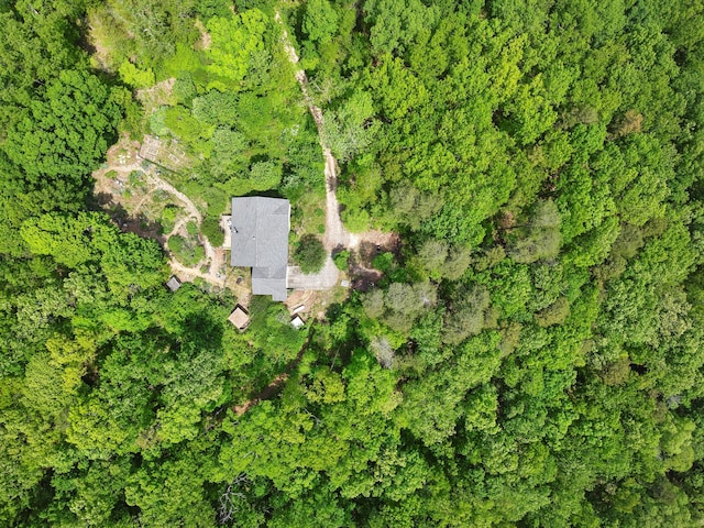 798 Deerfield Ln, Sugar Valley, GA 30746 - bird's eye view