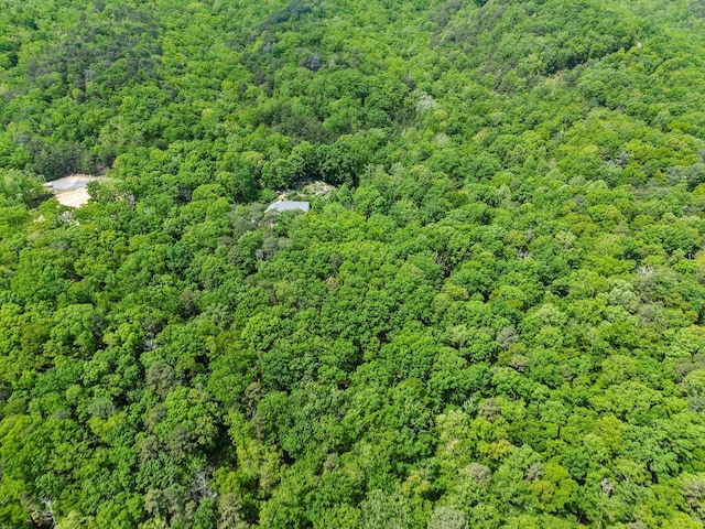 798 Deerfield Ln, Sugar Valley, GA 30746 - drone / aerial view with a view of trees
