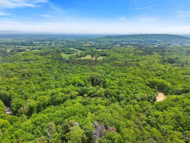 798 Deerfield Ln, Sugar Valley, GA 30746 - drone / aerial view featuring a view of trees