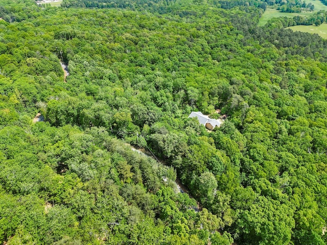 798 Deerfield Ln, Sugar Valley, GA 30746 - birds eye view of property featuring a wooded view