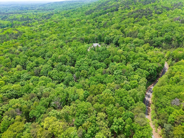 798 Deerfield Ln, Sugar Valley, GA 30746 - bird's eye view featuring a wooded view