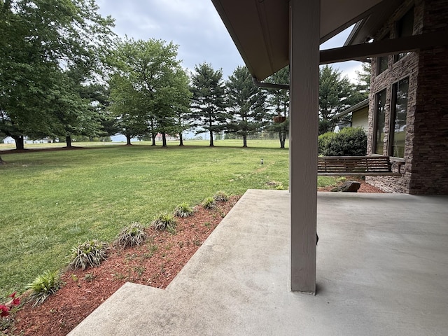 view of yard featuring a patio area