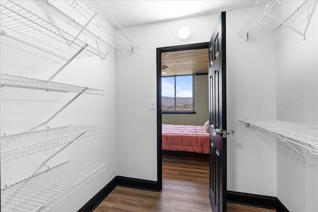 walk in closet featuring dark wood-type flooring