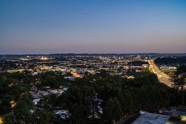 property's view of city