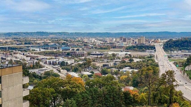 bird's eye view featuring a city view
