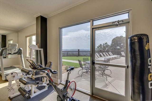 workout room featuring crown molding