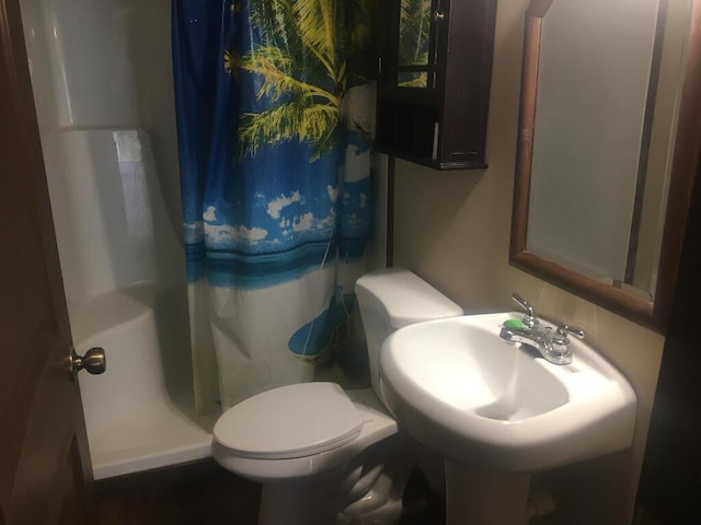 bathroom featuring a sink, a shower with shower curtain, and toilet
