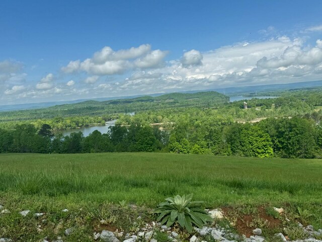 44 Mill Rd, Decatur, TN 37322 - photo 1
