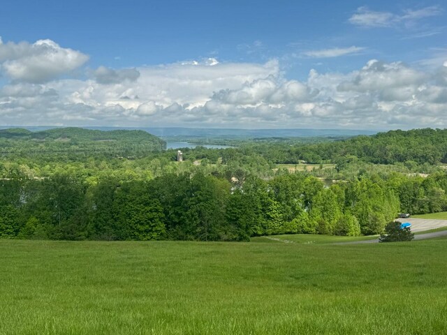 44 Mill Rd, Decatur, TN 37322 - photo 2