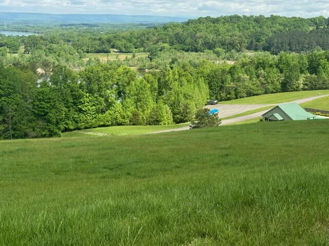 44 Mill Rd, Decatur, TN 37322 - photo 3