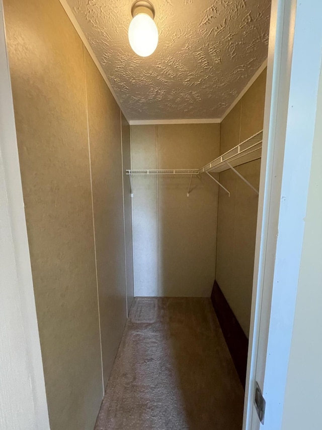 417 Chester St, Athens, TN 37303 - spacious closet with carpet floors