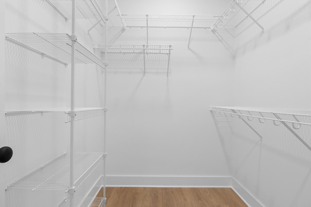 spacious closet featuring wood finished floors