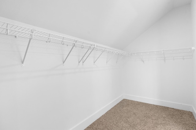 spacious closet with vaulted ceiling and carpet floors