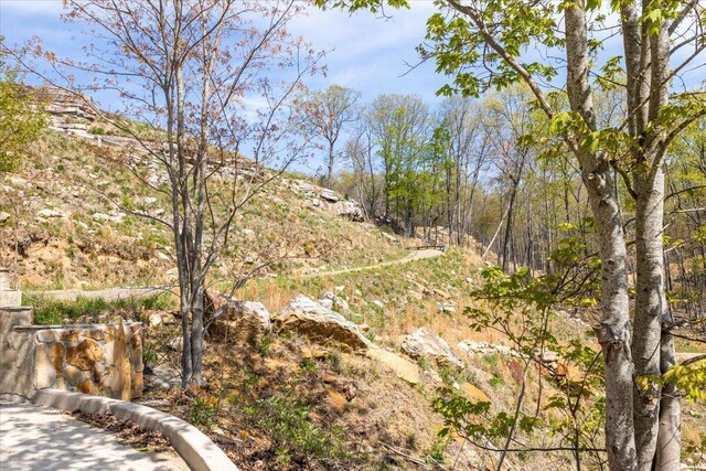 159 Eagle Creek Trl, Rising Fawn, GA 30738 - view of landscape