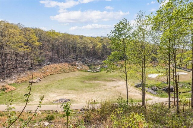 159 Eagle Creek Trl, Rising Fawn, GA 30738 - view of community with golf course view
