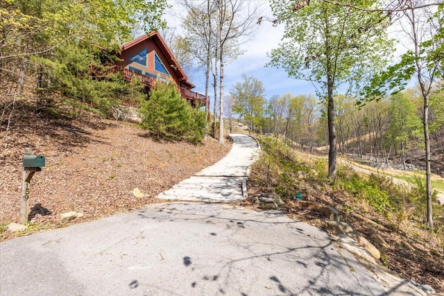 159 Eagle Creek Trl, Rising Fawn, GA 30738 - view of street with aphalt driveway