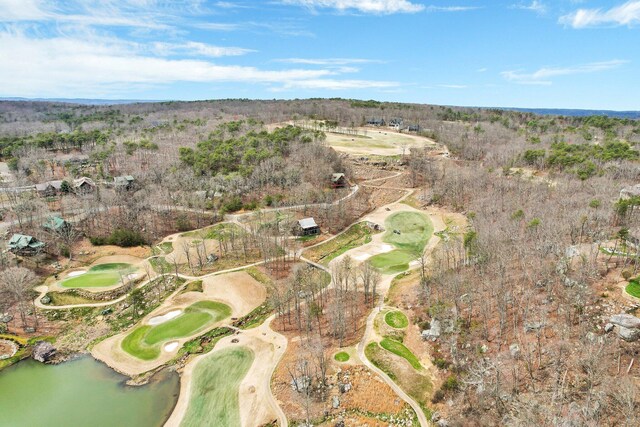 159 Eagle Creek Trl, Rising Fawn, GA 30738 - aerial view with a water view and view of golf course