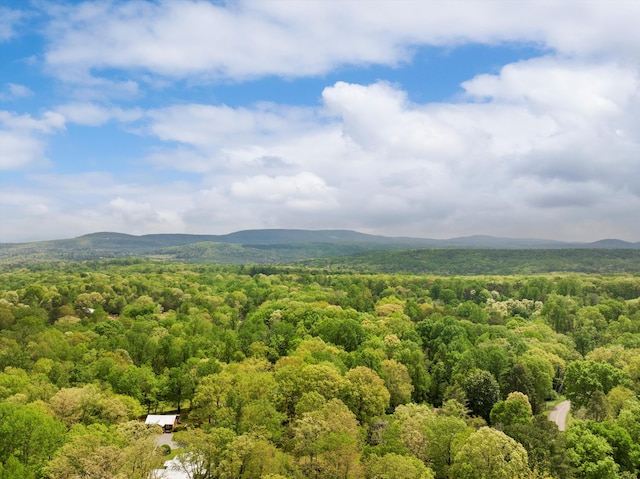 property view of mountains with a wooded view