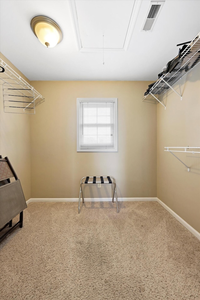 spacious closet with attic access, carpet floors, and visible vents