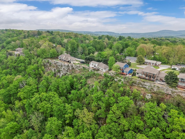 aerial view with a wooded view