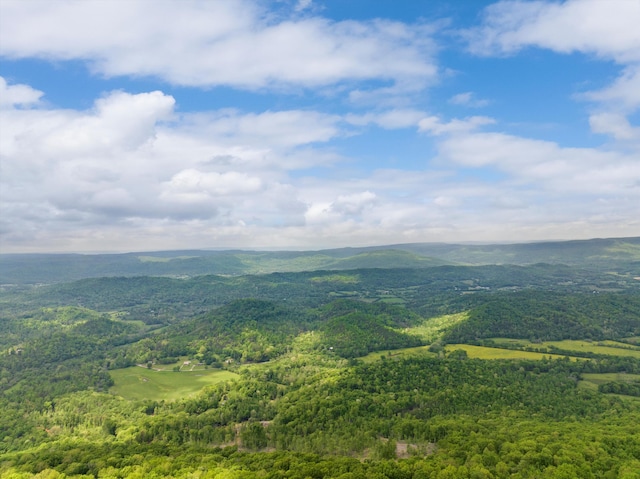 drone / aerial view with a view of trees