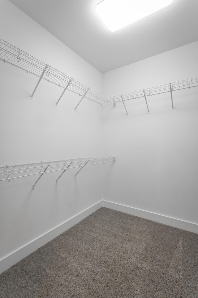 229 Courtland Crest Dr SW, Cleveland, TN 37311 - walk in closet featuring dark colored carpet