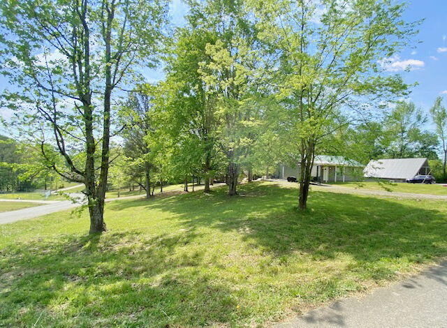 view of front of home featuring a front lawn