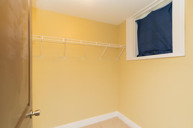 view of walk in closet