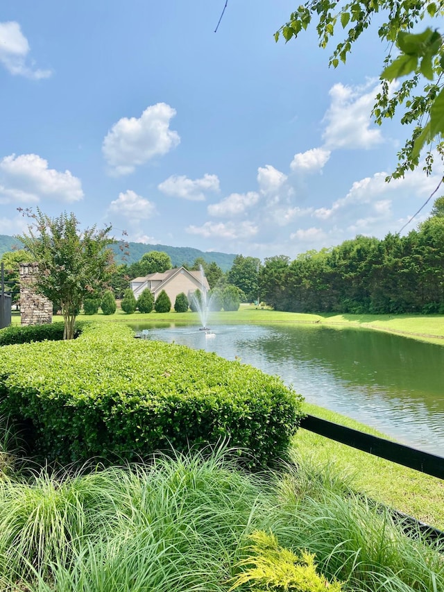 8209 Robertsview Dr, Ooltewah, TN 37363 - water view