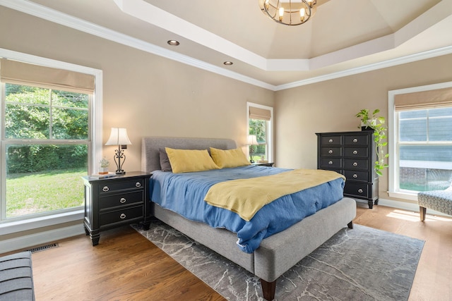 8209 Robertsview Dr, Ooltewah, TN 37363 - bedroom with multiple windows, wood finished floors, a raised ceiling, and ornamental molding