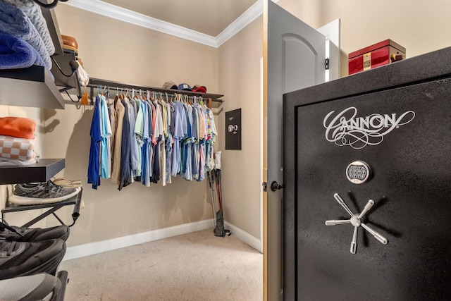8209 Robertsview Dr, Ooltewah, TN 37363 - spacious closet featuring carpet flooring