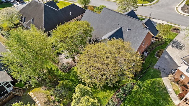 aerial view
