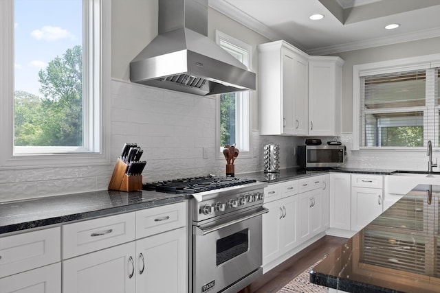 7407 Pond Vw, Harrison, TN 37341 - kitchen featuring crown molding, range hood, white cabinets, a sink, and stainless steel appliances