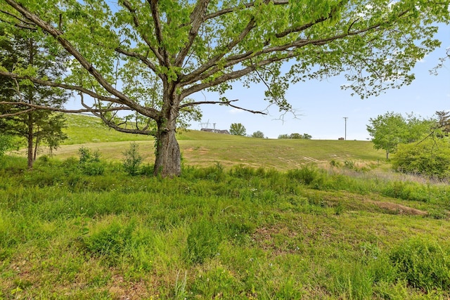 7407 Pond Vw, Harrison, TN 37341 - view of landscape featuring a rural view