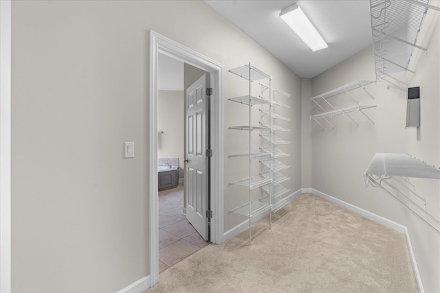 3874 Sweet Bay Ln, Apison, TN 37302 - walk in closet featuring carpet flooring