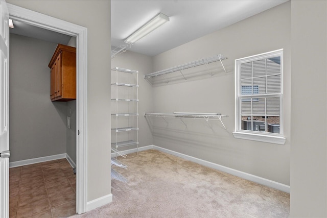 3874 Sweet Bay Ln, Apison, TN 37302 - spacious closet featuring carpet floors