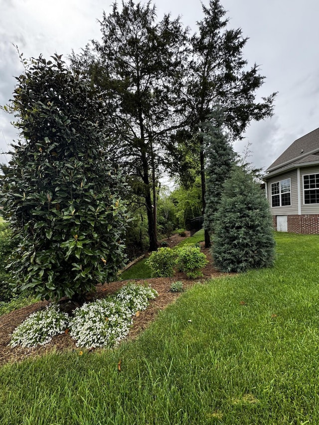 3874 Sweet Bay Ln, Apison, TN 37302 - view of yard