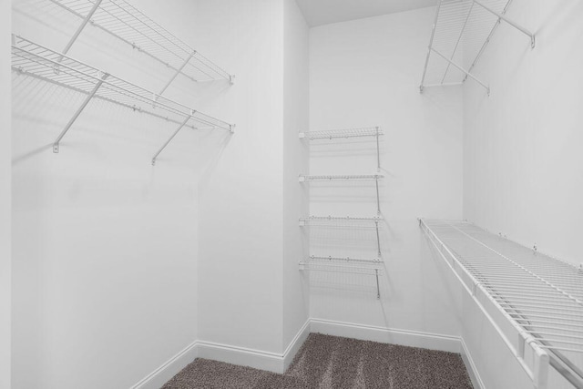 370 Winchester Dr Unit 70, Rossville, GA 30741 - walk in closet with dark carpet