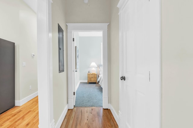 5107 Beulah Ave, Chattanooga, TN 37409 - corridor with baseboards and wood finished floors