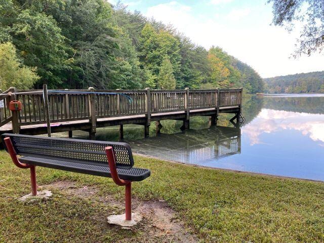 dock area featuring a lawn, a water view, and a view of trees