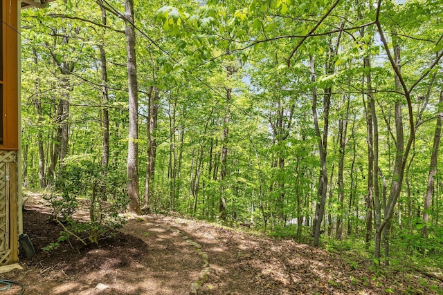 view of local wilderness featuring a view of trees